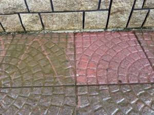 Photo de galerie - Paysagiste - Aménagement du jardin