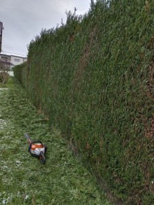 Photo de galerie - Taille côté 