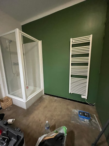 Photo de galerie - Peinture salle de bain 