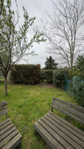 Photo de galerie - Taille d’une haie qui n’avait pas été taillée depuis cinq ans 