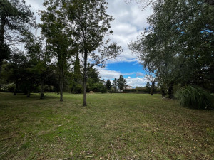 Photo de galerie - Tonte de pelouse - Débroussaillage