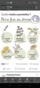 Photo de galerie - Médecine douce