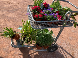 Photo de galerie - Paysagiste - Aménagement du jardin