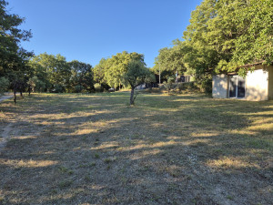 Photo de galerie - Débroussaillage et tonte 1,5 hectares de terrain.