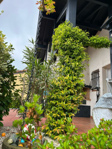 Photo de galerie - Paysagiste - Aménagement du jardin