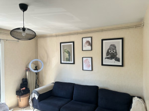 Photo de galerie - Cadres et luminaire IKEA.