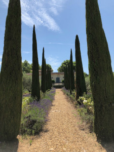 Photo de galerie - Paysagiste - Aménagement du jardin