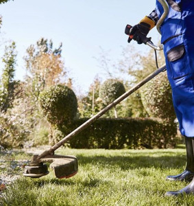 Photo de galerie - Bricolage et jardinage. 
Devis gratuit.
Nancy et alentours 