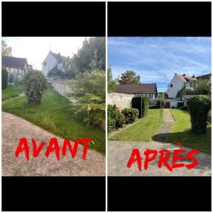 Photo de galerie - Avant après jardin 