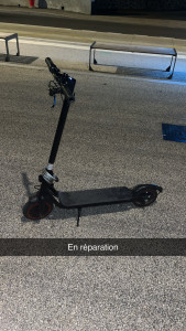 Photo de galerie - Promenades et sorties véhiculées