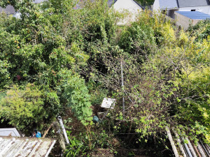 Photo de galerie - Paysagiste - Aménagement du jardin