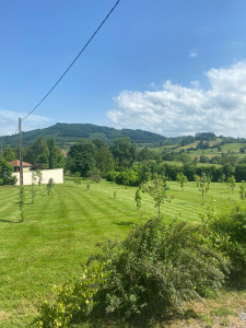 Photo de galerie - Tonte