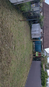 Photo de galerie - Tonte de pelouse - Débroussaillage