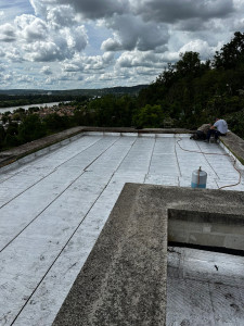 Photo de galerie -  changement rub alu sur toit plat suite infiltration a triel sur seine 78