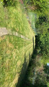 Photo de galerie - Tonte 