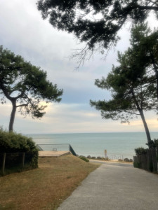 Photo de galerie - St palais 