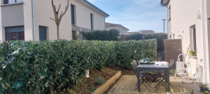 Photo de galerie - Taille de haies et d'arbustes