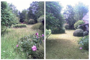 Photo de galerie - Rafraîchissement d'un terrain qui en avait bien besoin 