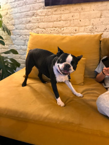 Photo de galerie - Gin✨