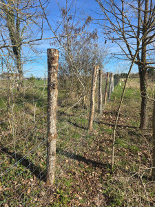 Photo de galerie - Pose de grillage galvanisé sur piquet en bois
