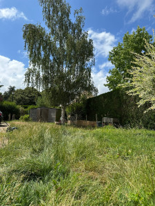 Photo de galerie - Tonte de pelouse - Débroussaillage