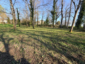 Photo de galerie - .