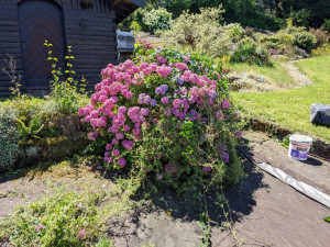 Photo de galerie - Jardinier