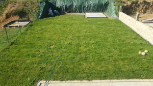 Photo de galerie - Photo prise un mois après la pose du gazon en rouleau