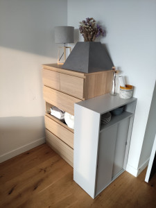 Photo de galerie - Nettoyage/ Rangement Salon