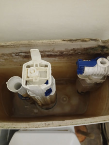 Photo de galerie - Remplacement mecanisme complet cuvette toilettes modele  nemo geberit 