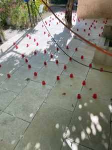 Photo de galerie - Extension terrasse en dalle béton et pose de travertin 