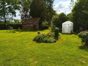 Photo de galerie - Tonte - Après
