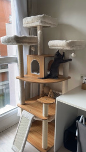 Photo de galerie - Grand arbre à chat 