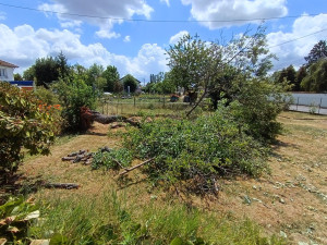 Photo de galerie - Abattage d'arbres 