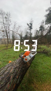 Photo de galerie - Débitage + évacuation d’un arbre tombé suite a une tempête 