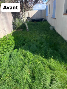 Photo de galerie - Tonte+finirion