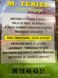 Photo de galerie - Elagage et coupe d'arbres