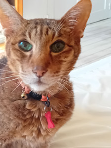 Photo de galerie - Le bel Austin - 21 ans - je me rends à son domicile tous les jours. 