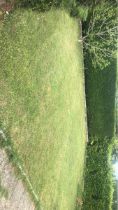 Photo de galerie - Après un premier passage 