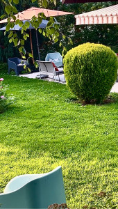 Photo de galerie - Taille d'arbuste