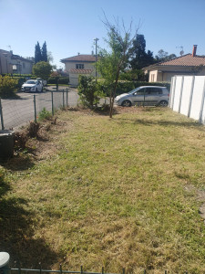 Photo de galerie - Tondeuse débroussailleuse