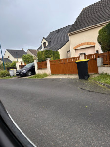 Photo de galerie - Taille de haies et d'arbustes