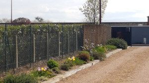 Photo de galerie - Pose d'une clôture en grillage souple sur poteau métalliques avec scellement, recouverte de brande de bruyère (90 mètres)