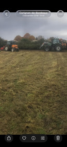 Photo de galerie - Tonte de pelouse - Débroussaillage