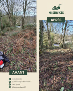 Photo de galerie - Tonte de pelouse - Débroussaillage