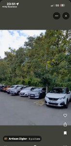 Photo de galerie - Taille arbre pour garage Peugeot chambray 