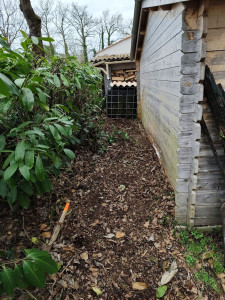 Photo de galerie - Rangement et évacuation de matériel derrière un abri de jardin 