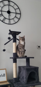 Photo de galerie - Garde de Greysi vacances de février