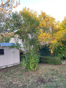 Photo de galerie - Paysagiste - Aménagement du jardin