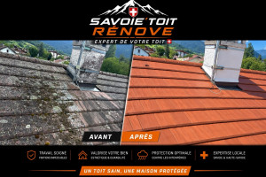 Photo de galerie - Nettoyage toiture hydrofuge